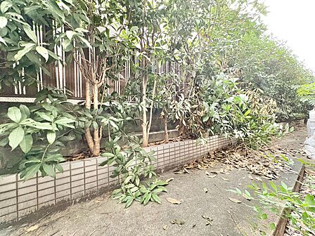 眺望や窓からの景色が良いと、家で過ごす時間も快適です。
