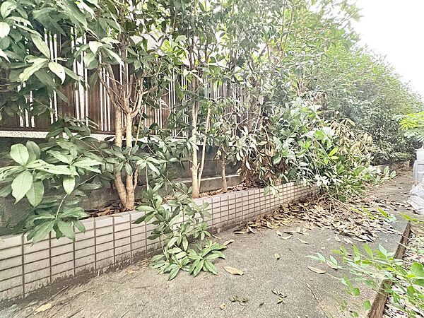 眺望や窓からの景色が良いと、家で過ごす時間も快適です。
