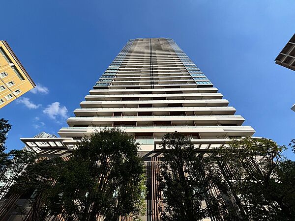 外観：313004940290