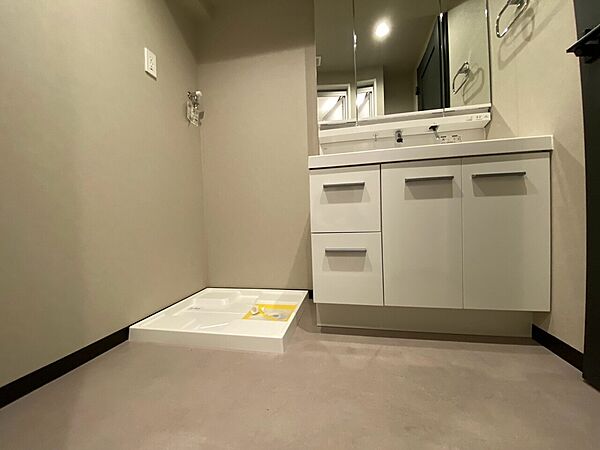十分な広さの脱衣所。