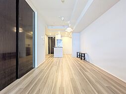シティタワー銀座東 1LDKの室内
