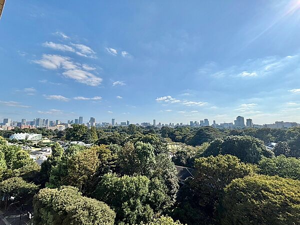 眺望や窓からの景色が良いと、家で過ごす時間も快適です。