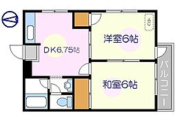 JR総武線 新小岩駅 徒歩15分の賃貸マンション 1階2DKの間取り