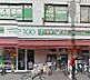 周辺：ローソンストア100 中葛西店（146m）