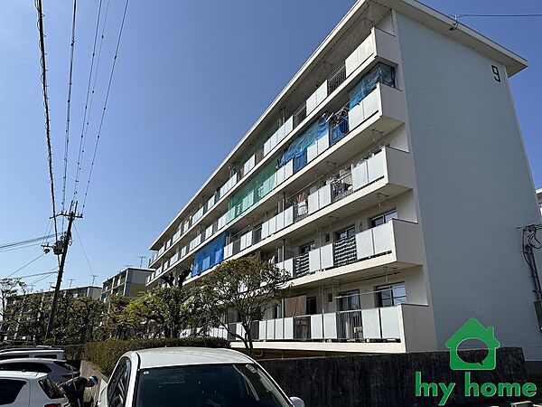 外観：328000628382