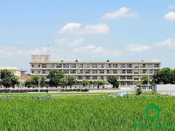 明石市立清水小学校(1600m)