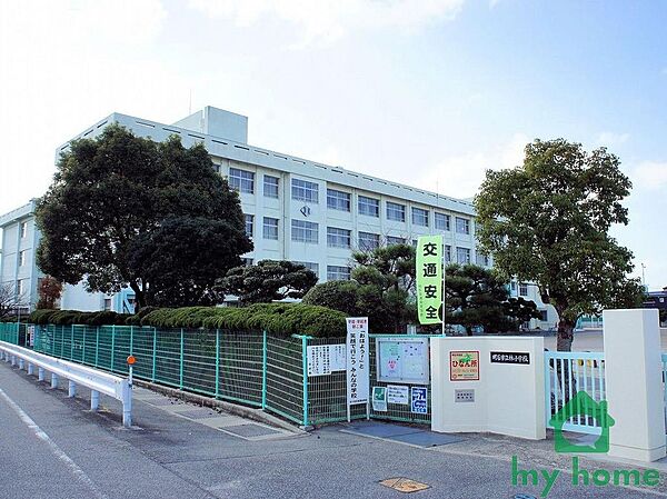 明石市立林小学校(900m)