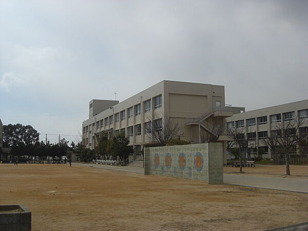 播磨町立蓮池小学校(550m)