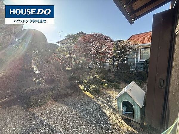庭