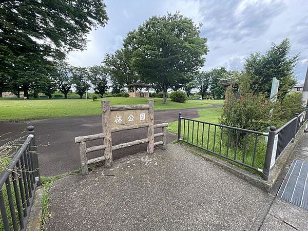 林公園 260m