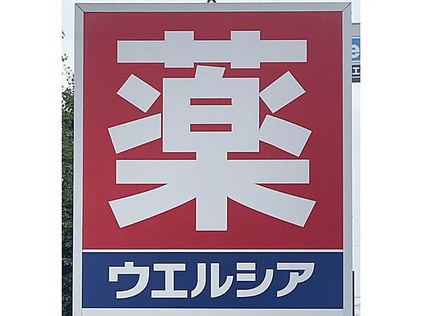 ウエルシア伊勢崎赤堀店 700m