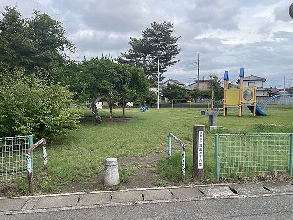 周辺を拡大表示