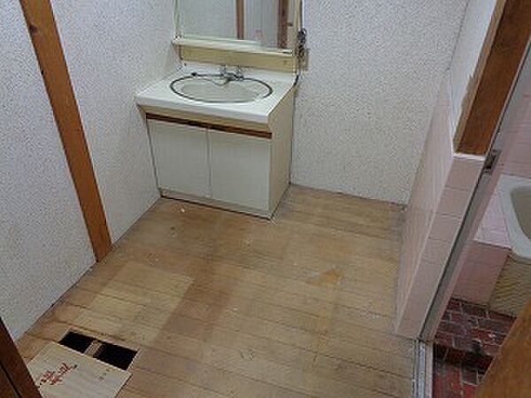 独立洗面所。ドアあり。