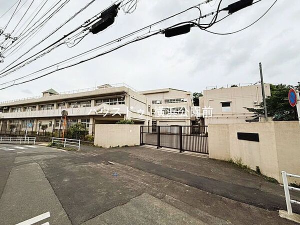 横浜市立立野小学校山手エリアに近い住宅地に位置し、落ち着いた環境で学べる地域に親しまれる小学校。 1330m