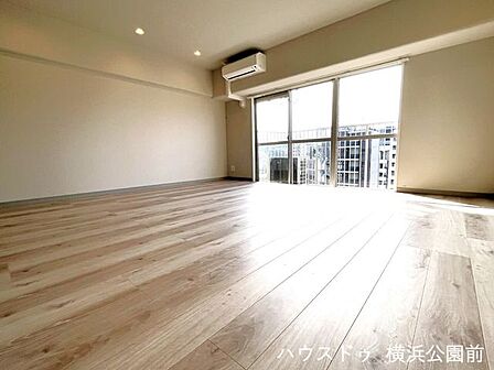 ペットの飼育も可能なマンション。ペットが動き回れるには十分な広さがあります。リビングはエアコンも備え付けられています。