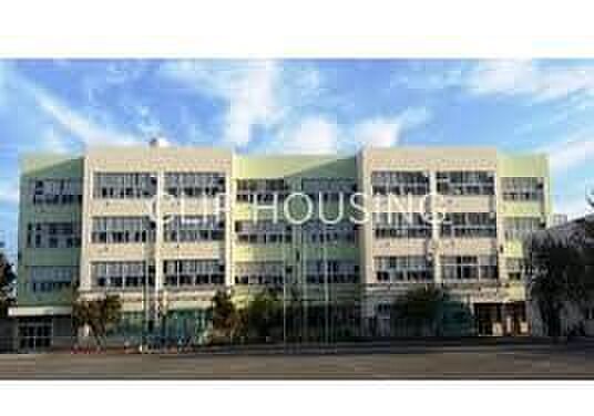 横浜市立上白根小学校 徒歩4分。 260m