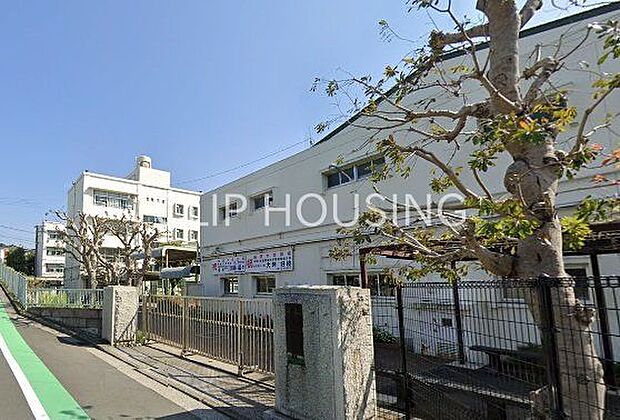 横浜市立希望が丘中学校 徒歩4分。 280m