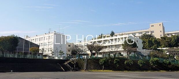 横浜市立芹が谷中学校 徒歩7分。 530m