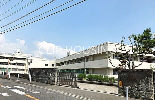横浜市立松本中学校 徒歩4分。 310m