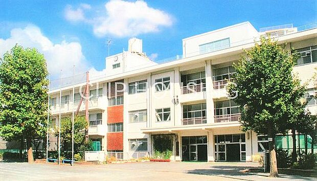 横浜市立南神大寺小学校 徒歩8分。 590m