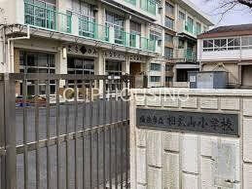 横浜市立相武山小学校 徒歩12分。 910m