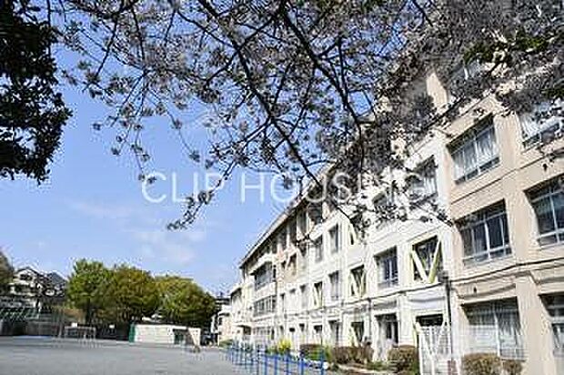 藤沢市立大鋸小学校 徒歩11分。 830m