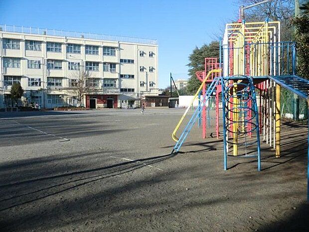 横浜市立常盤台小学校 徒歩15分。 1200m