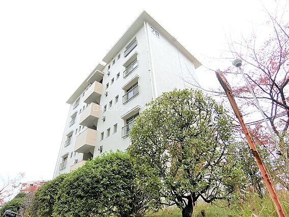公団狭山住宅28号棟_トップ画像