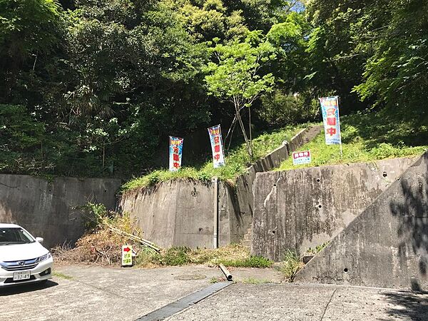 外観：314002389733