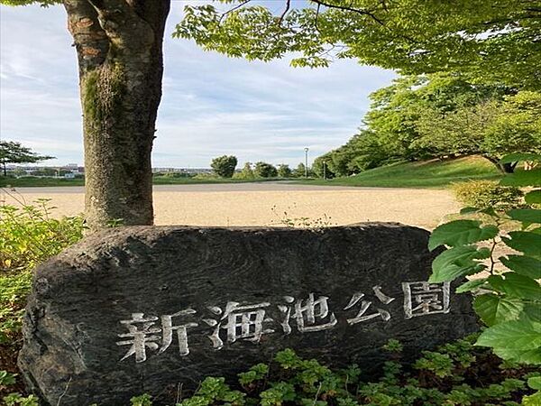 新海池公園新海池（にいのみいけ）が中央にある公園。遊具広場、野球場、バスケットボールゴール、テニス壁打ちなどがある広い公園。 570m
