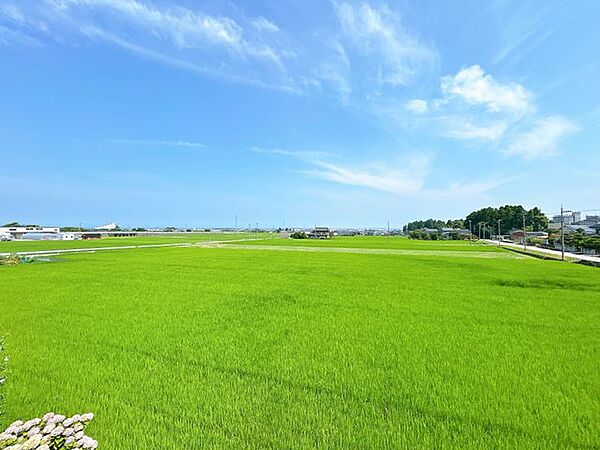 2階の和室からの眺望です。