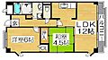 ハイネス諏訪森1階6.6万円