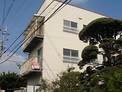 外観 外観