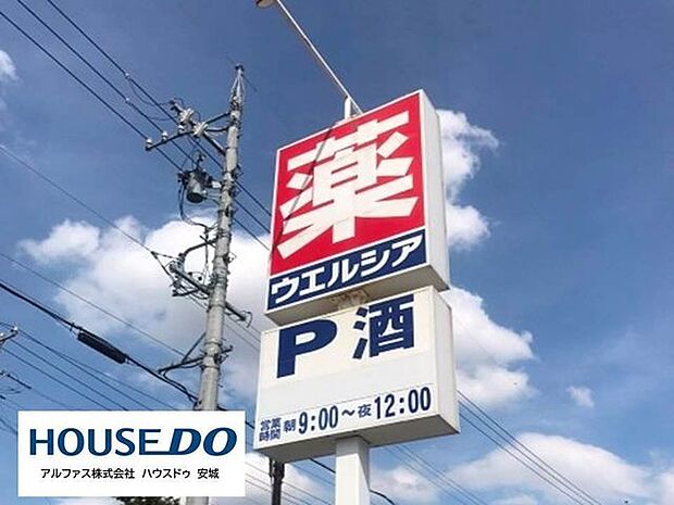 ウエルシア安城東栄町店 1200m