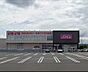 周辺：ディスカウントドラッグコスモス作新台店 「コスモス作新台店」まで370m (徒歩5分)医薬品から日用品まで揃う、日常の買い物にも便利です。