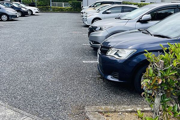 【駐車場】ファミリーカーも悠々駐車できるスペースです。お車好きにはたまらないですね！
