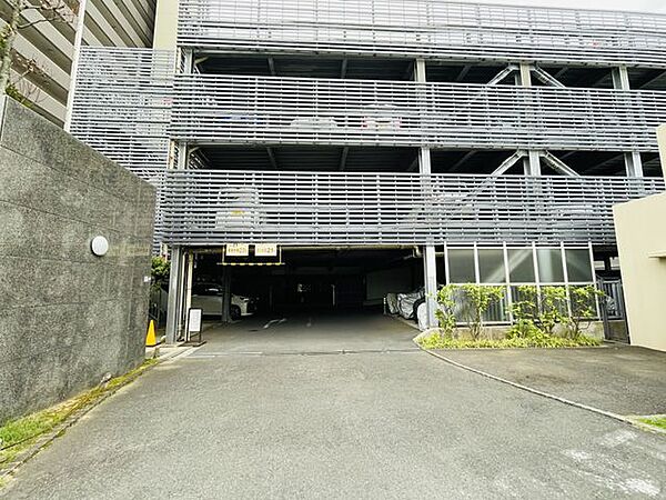 【駐車場】ファミリーカーも悠々駐車できるスペースです。お車好きにはたまらないですね！