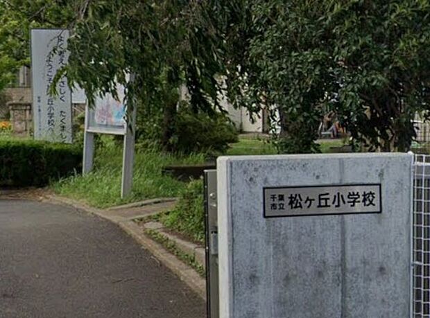 「千葉市立松ケ丘小学校」まで480m (徒歩6分)