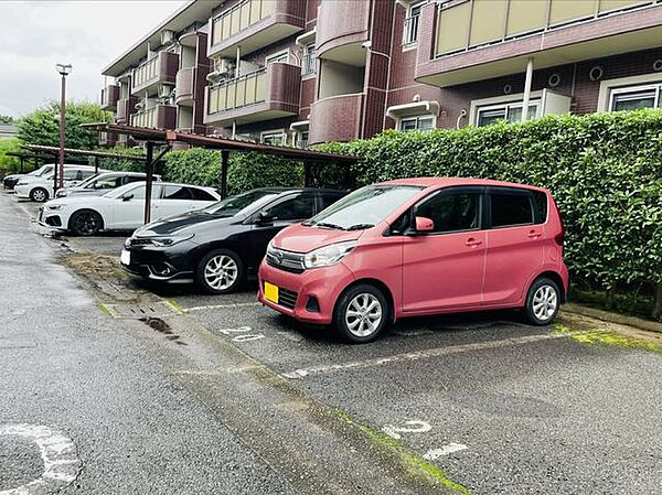 【駐車場】ファミリーカーも悠々駐車できるスペースです。お車好きにはたまらないですね！