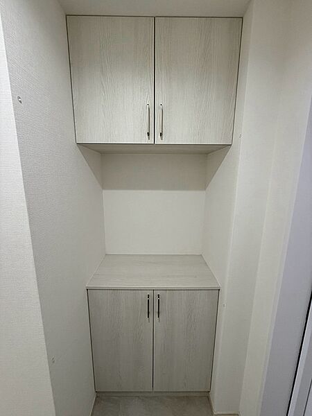 上下に収納棚を備え、中央のスペースには飾り付けも可能。玄関や廊下など、多様な場所で活躍します。