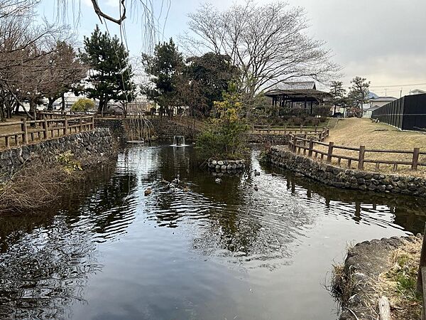 鳩の森公園まで969m