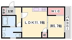 デュオ呉服町 1LDKの間取図画像