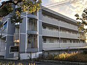第329川辺ビル 2階 築35年1ヶ月の賃貸物件