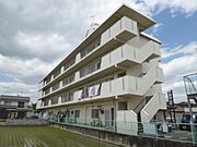 シャトー御立 2階 築48年7ヶ月の賃貸物件