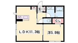 ラピス 1LDKの間取図画像