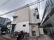 シロハイヌ 2階 築31年6ヶ月の賃貸物件