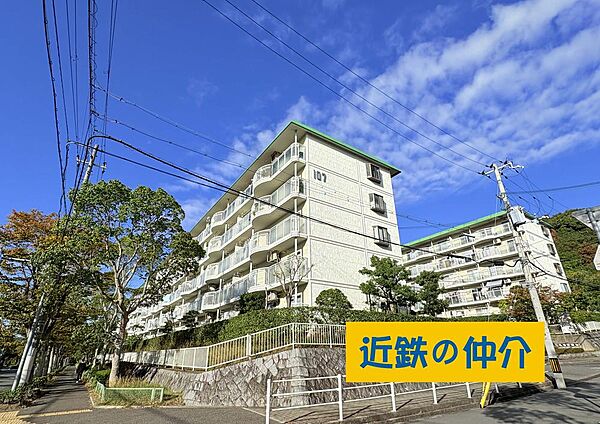 外観：328000686285