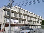 ハイツブルースカイ 3階 築44年11ヶ月の賃貸物件