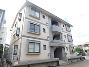 エクセル桃山 2階 築40年の賃貸物件