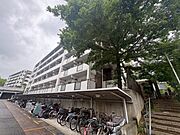 ＵＲ都市機構アルビス五月丘団地１２６号棟 3階 築37年11ヶ月の賃貸物件